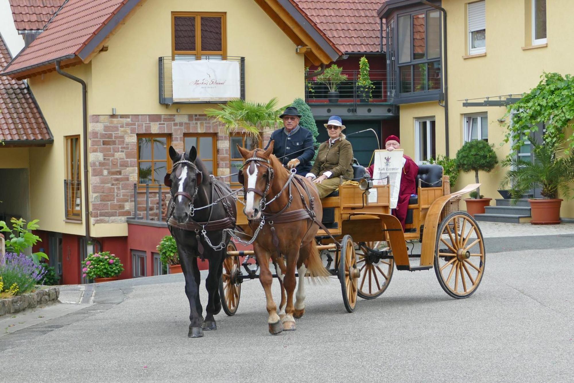 Hotel Garni Sebastian Kirrweiler  Exterior photo